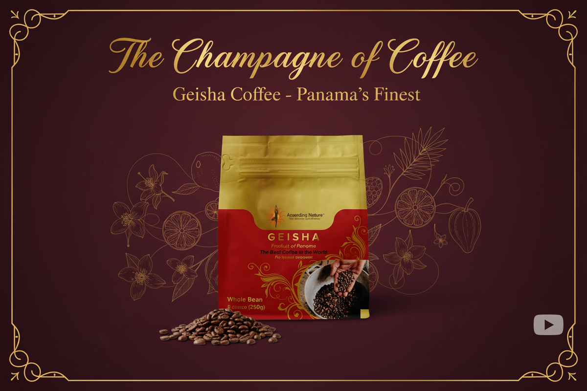 Geisha Coffee YouTube Ad