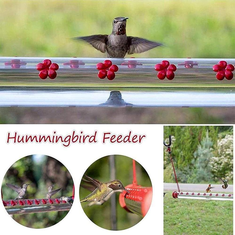 The Hummingbird Feeder