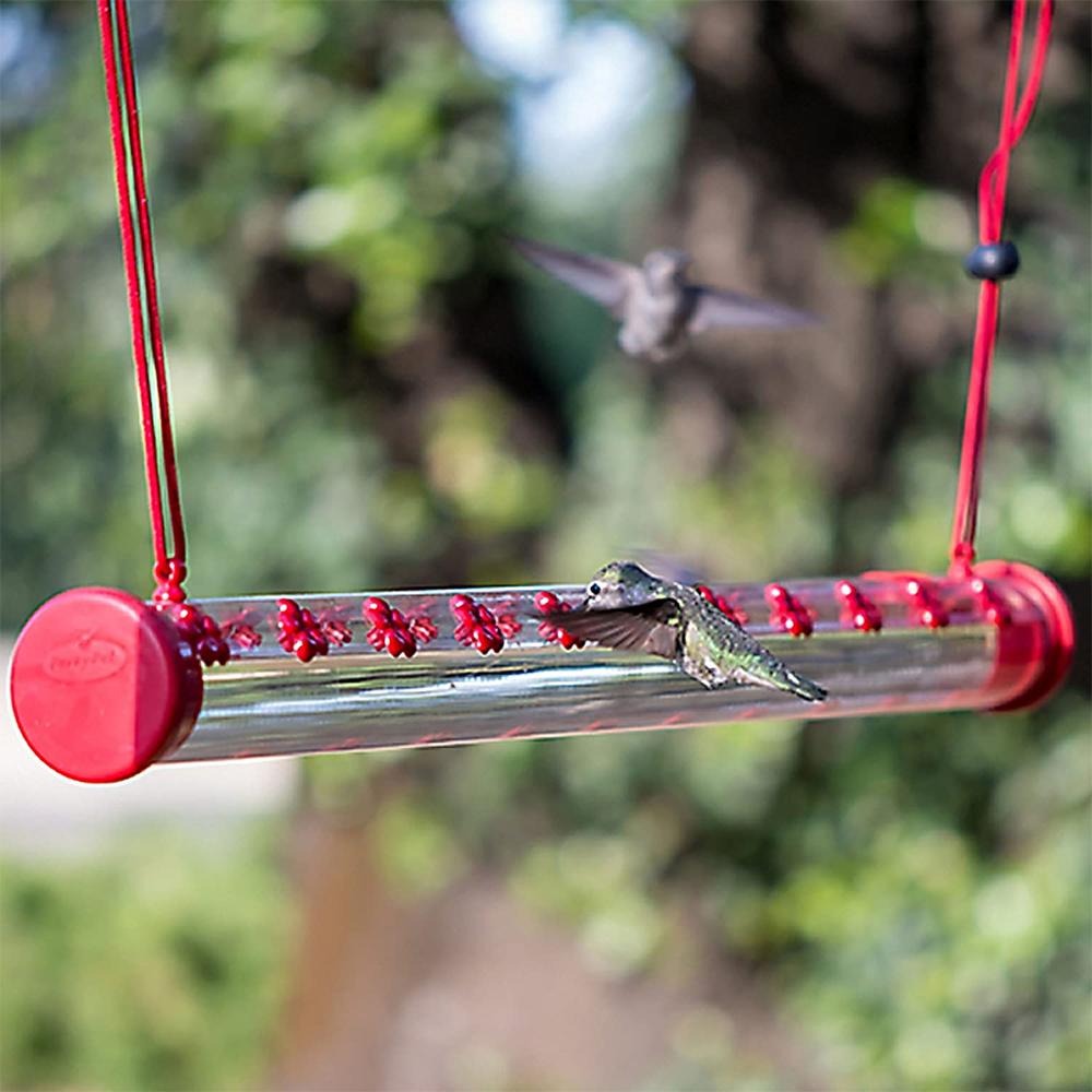 The Hummingbird Feeder