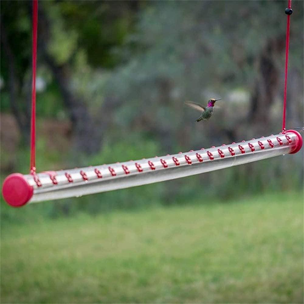 The Hummingbird Feeder