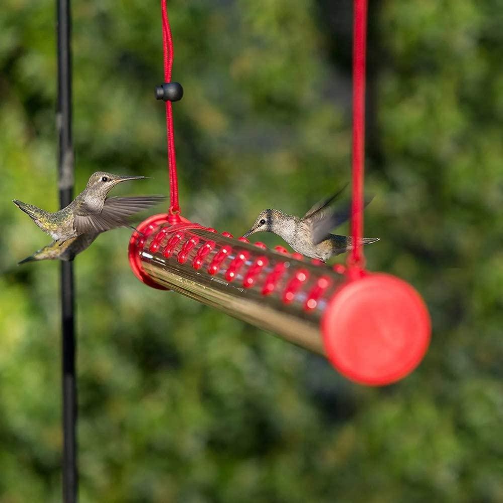 The Hummingbird Feeder