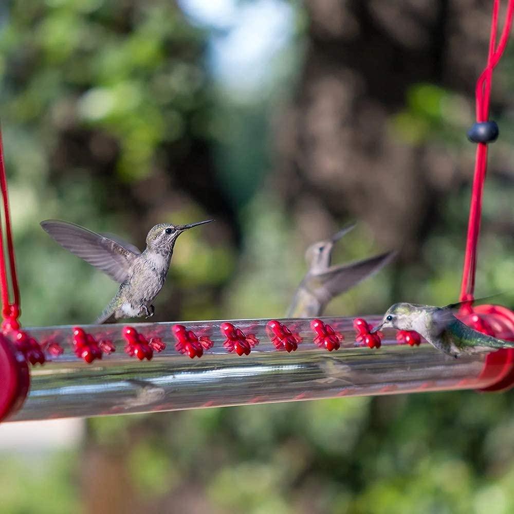 The Hummingbird Feeder