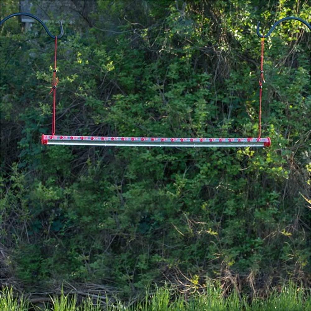 The Hummingbird Feeder