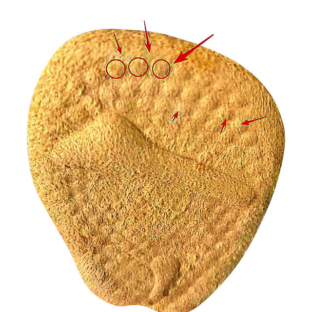 shoe inserts